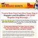Dog Massage Secrets - 60% Commissions!