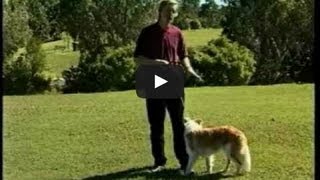 Dog training part 1 of 5 Obedience Training with Gary Jackson