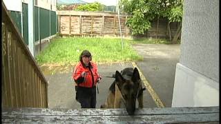 Search & Rescue Dog Training